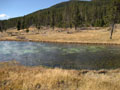 algae like the stinky lake.JPG